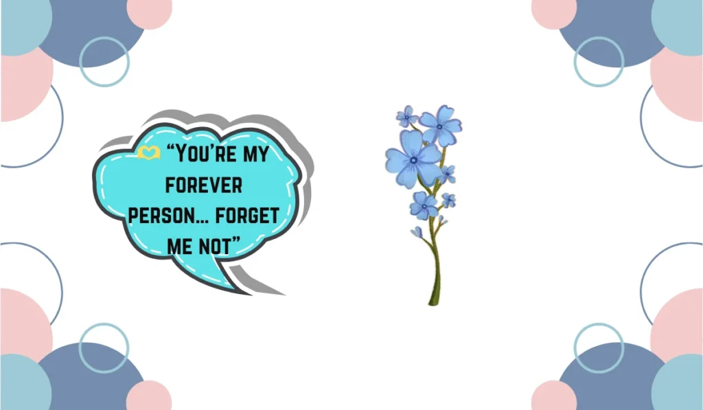 forget me not flower meaning