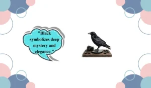 black color meaning