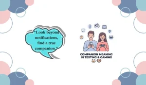 companion meaning