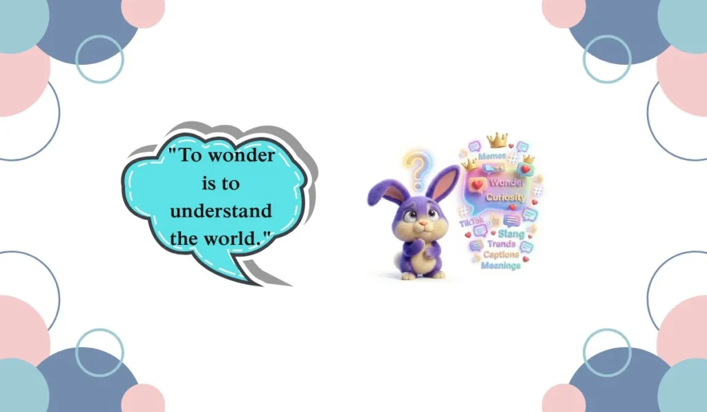 wonder meaning