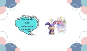 wonder meaning